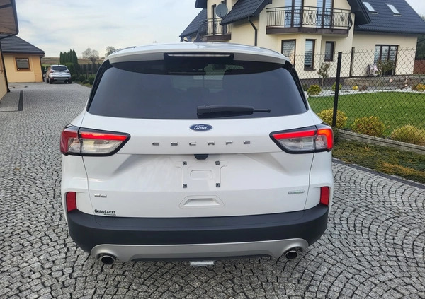 Ford Kuga cena 81900 przebieg: 28000, rok produkcji 2021 z Tarnów małe 562